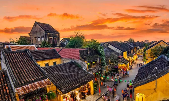 only-yen-to-yen-co-nguon-goc-tu-dau-indonesia-co-san-luong-nhieu-nhat-va-to-yen-hoi-an-cua-viet-nam-co-chat-luong-tot-nhat1